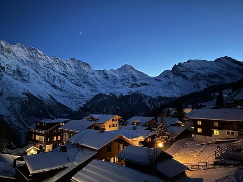 Chalet Soldanella