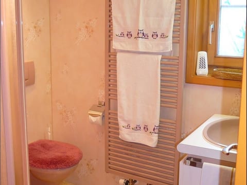 Chalet Birkli