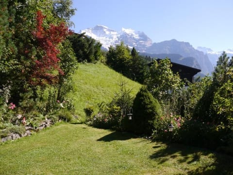 Chalet Birkli