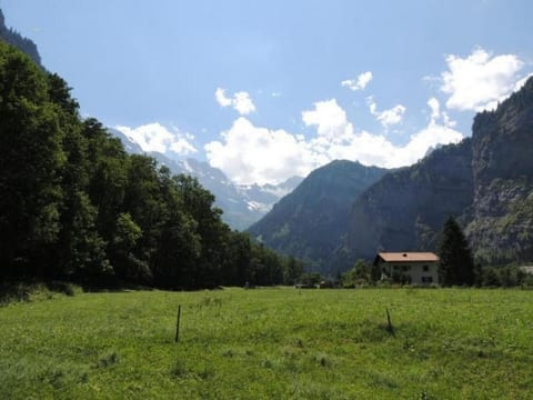 Lengwald "Hiisli"