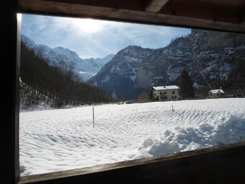 Lengwald "Hiisli"