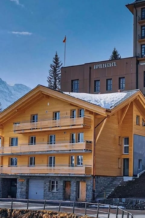 Chalet Raufthubel
