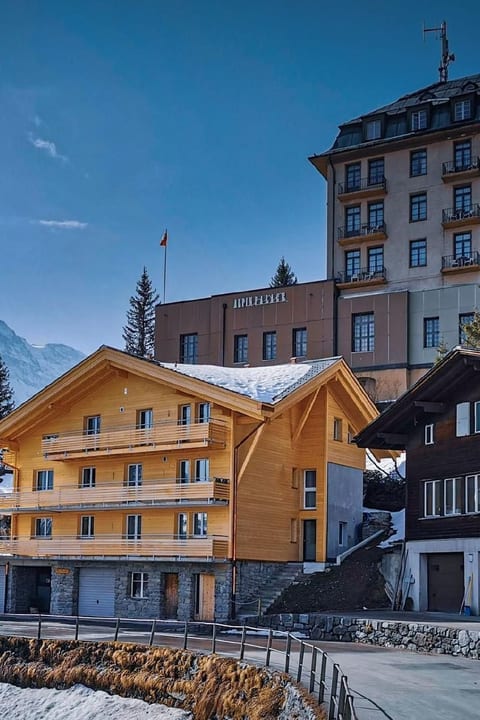 Chalet Raufthubel