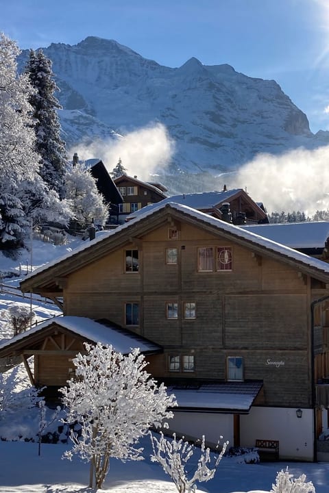 Chalet Sunnsyta;