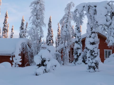 Iltarusko