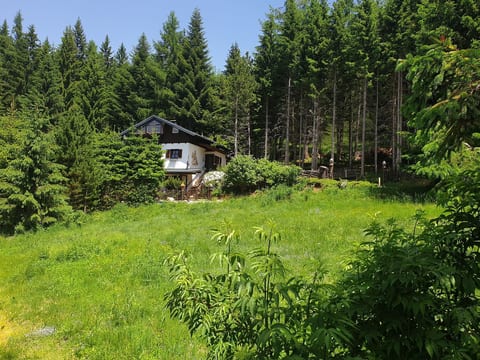 in Kliening mit Grill, Garten