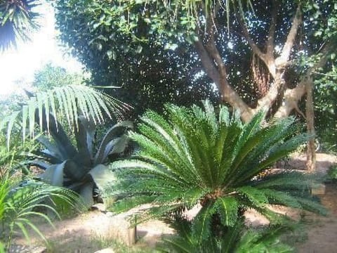 'Marianna' mit Privatparkplatz