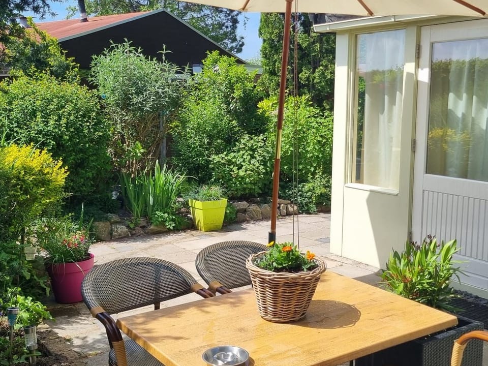 Wunderschönes Haus mit Pool, Garten und Grill - Dirkshorn
