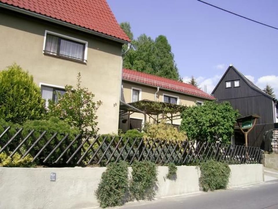 Hirsch - Bad Schandau