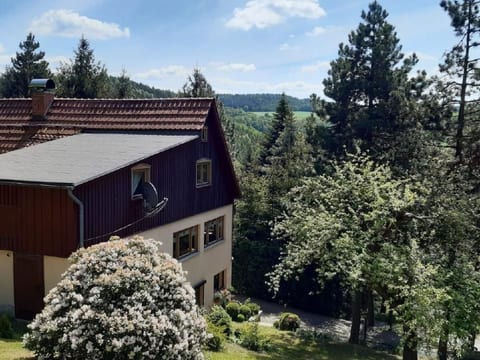 Bergnest