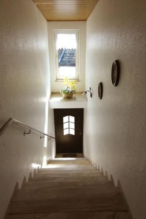 Lindenbauer