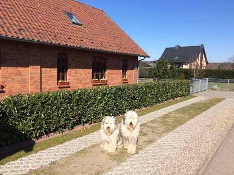 Gemütliches Ferienhaus in Godow mit Terrasse
