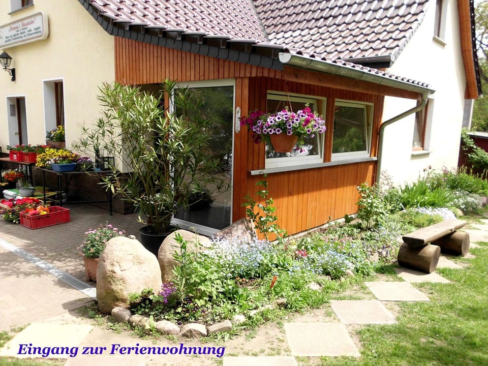 Schiemann - Usedom