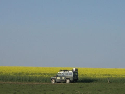Schiemann