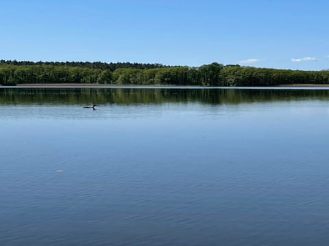 Charmantes kleines Häuschen am Blauen See