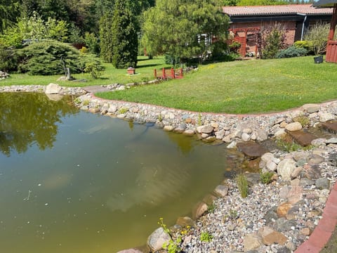 Elbe-Ilenpool -In Ruhe entspannen