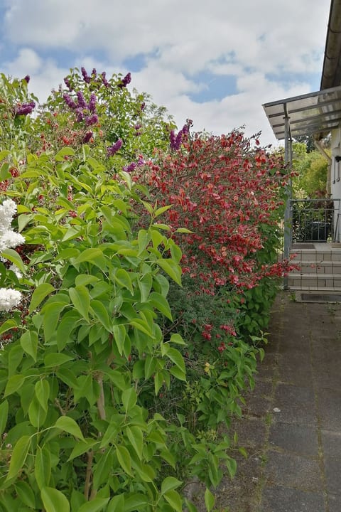 Adendorf