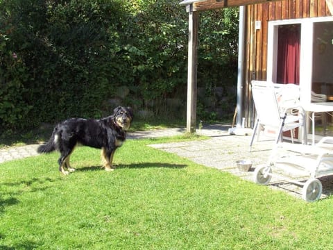 in Zandt mit Garten, Terrasse und Grill