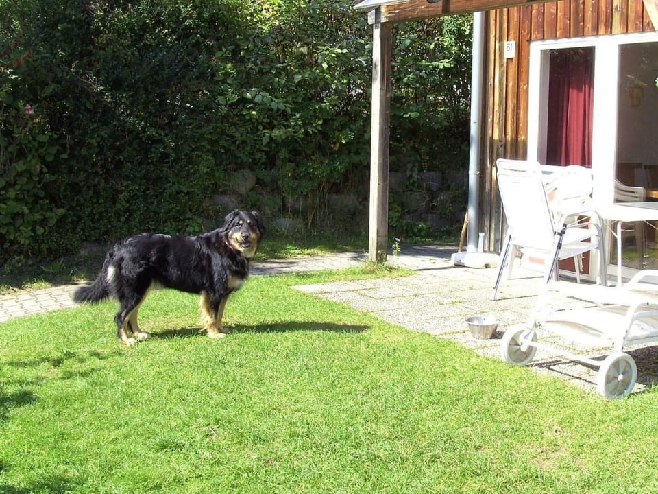 in Zandt mit Garten, Terrasse und Grill - Haselbach