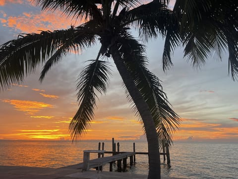 Tropical Sunsets: Open Gulf Views with Private Dock and Pool