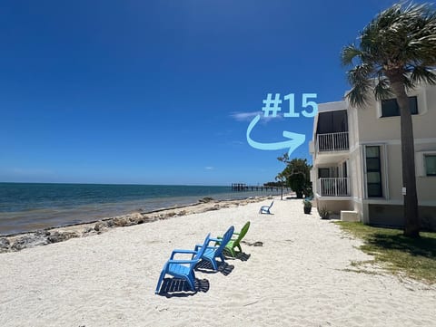 Bird of Paradise: Oceanfront Condo 3 BR, 2 BA with Heated Pool