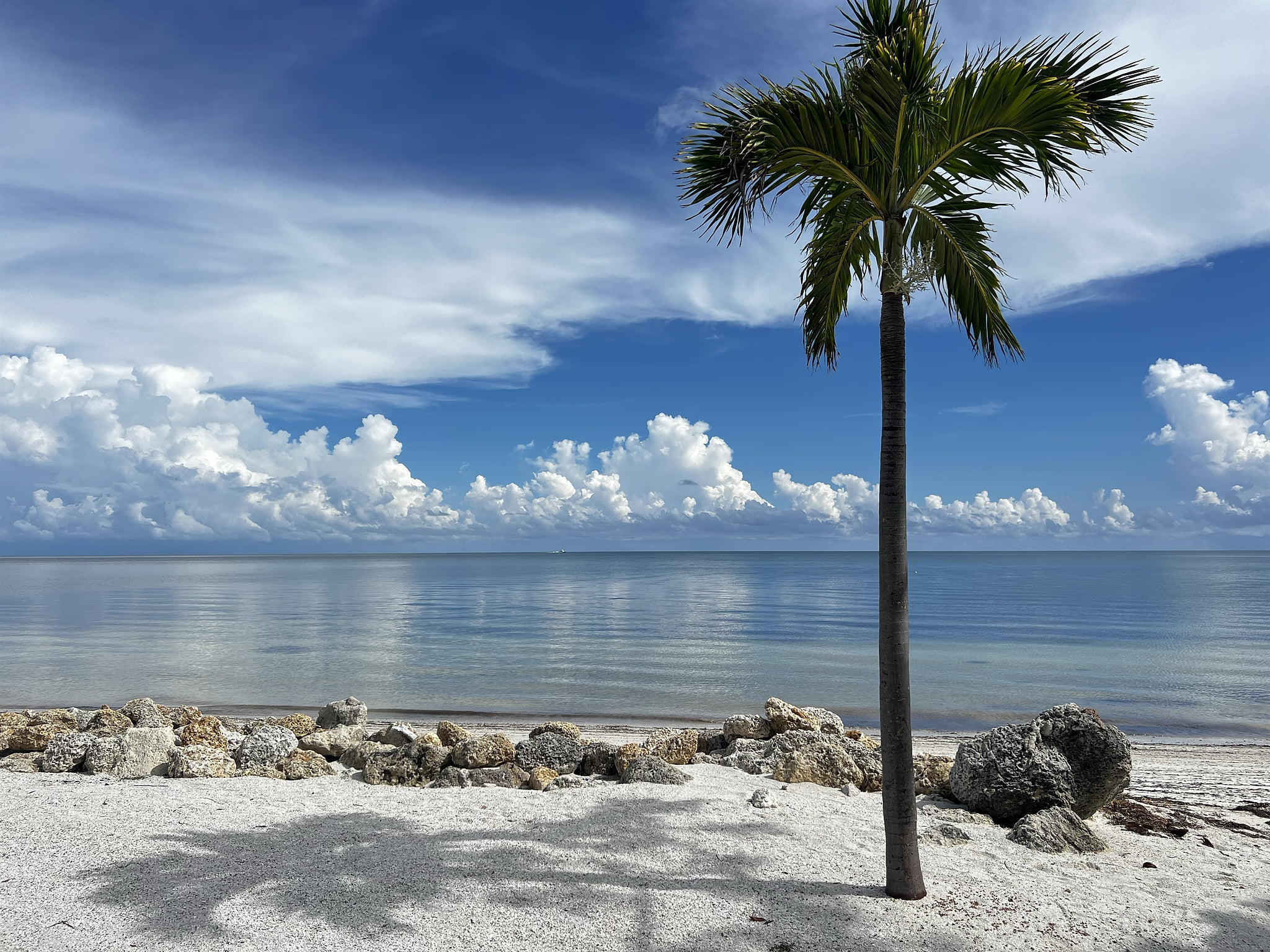 Enjoy a serene walk along the beach, mere steps from your condo.