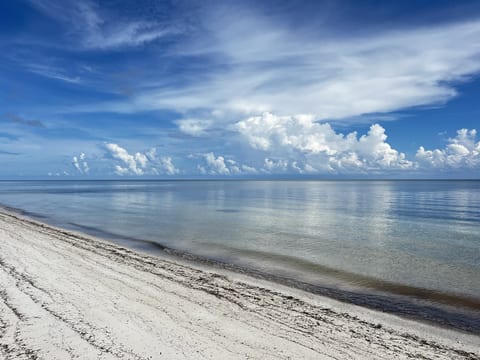 Coastal Charm: Steps from the Beach, 2BR/2BA Condo, Pool View