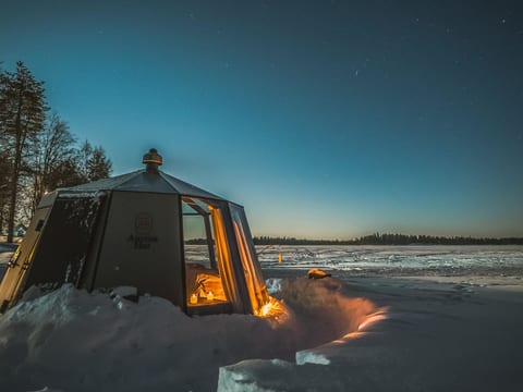 Lystikämän elämys