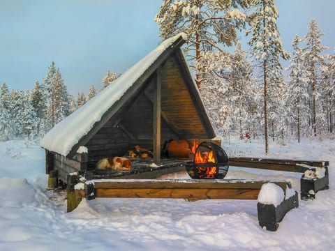 Lystikämän elämys