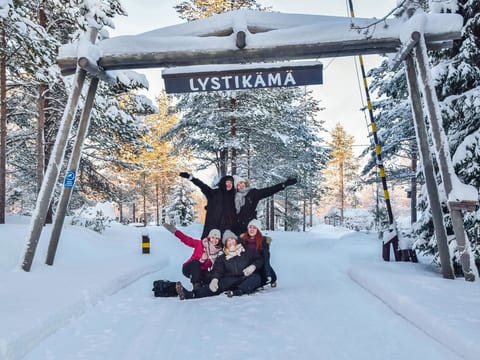 Villa lystikämä