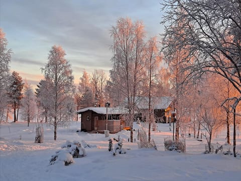 Villa lystikämä