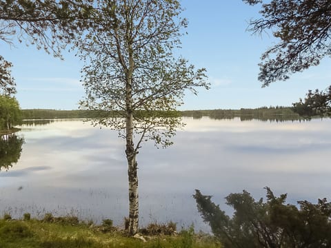 Lystikämän tupa