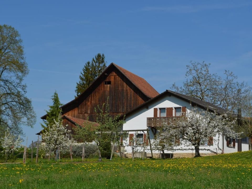 Wohnung Bellevue - Haute-Ajoie
