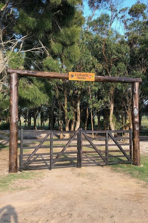 La Ranita Negra Casa Luciole