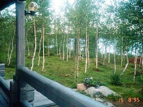 Juolukka