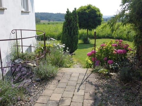 Appartement in Beuren mit Terrasse und Grill