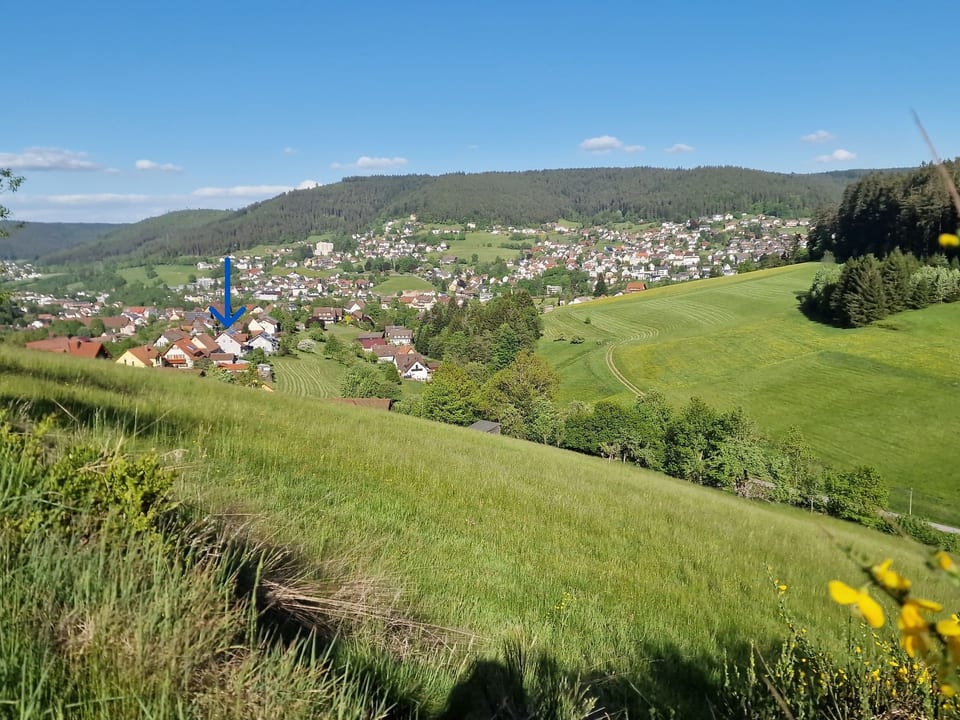 Schwarzwald Idylle - Baiersbronn