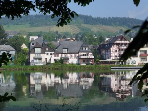 Moseljuwel-Traumferien Ferienwohnung