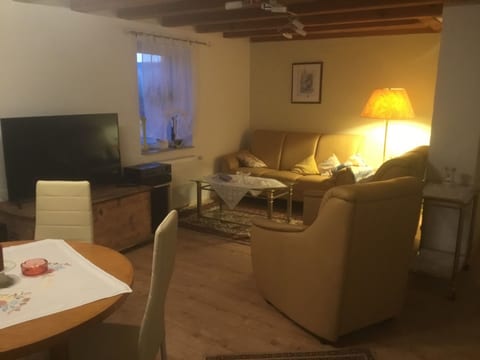 Wohnung in Hundheim mit Grill