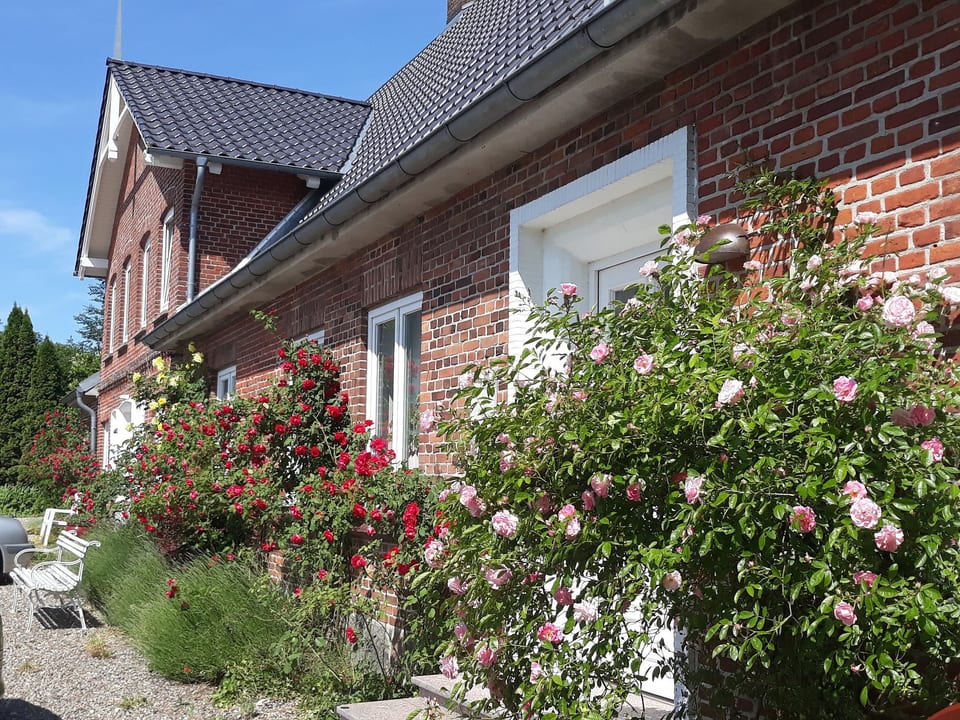 Vogelsang - Stoltebüll