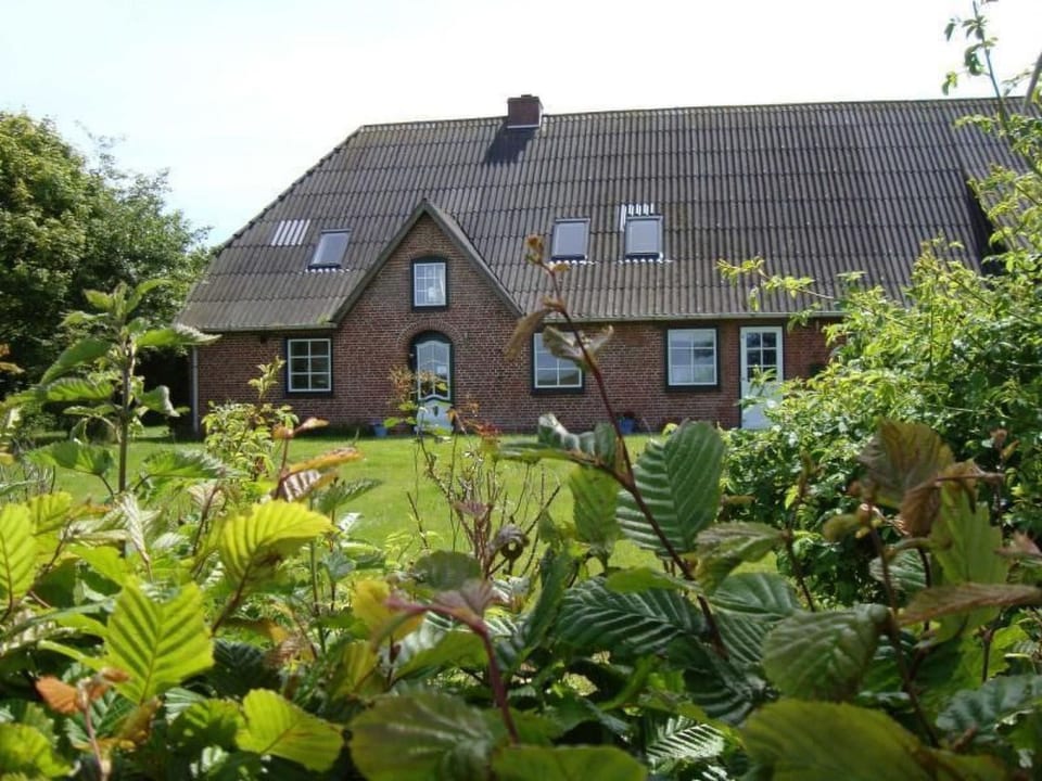 Röhe - Tümlauer-Koog