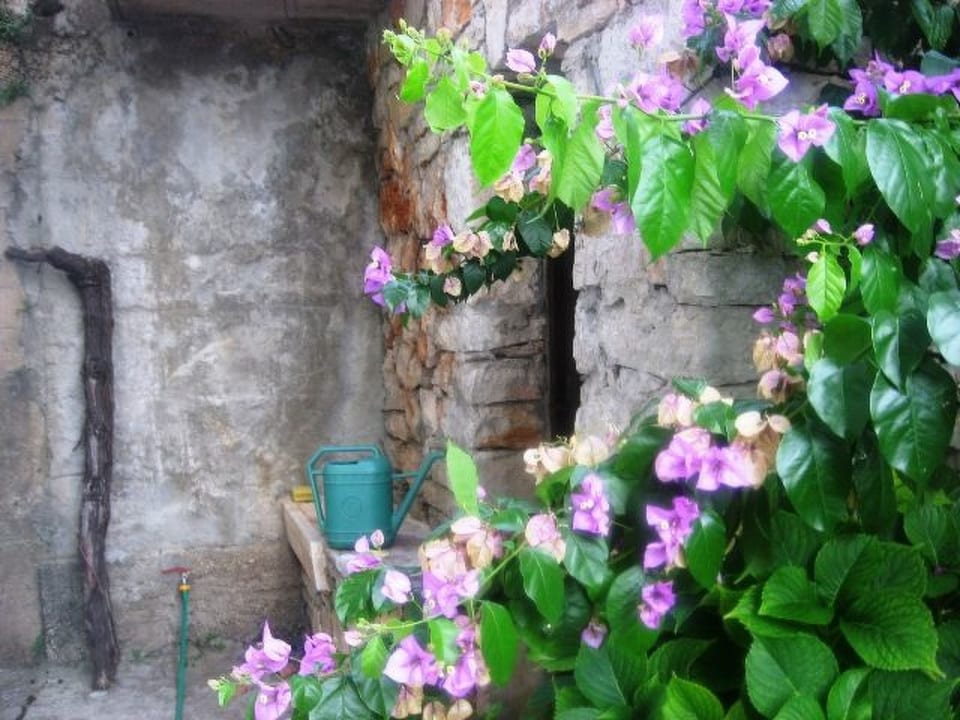 Appartement in Jelsa mit Garten und Grill - Općina Jelsa