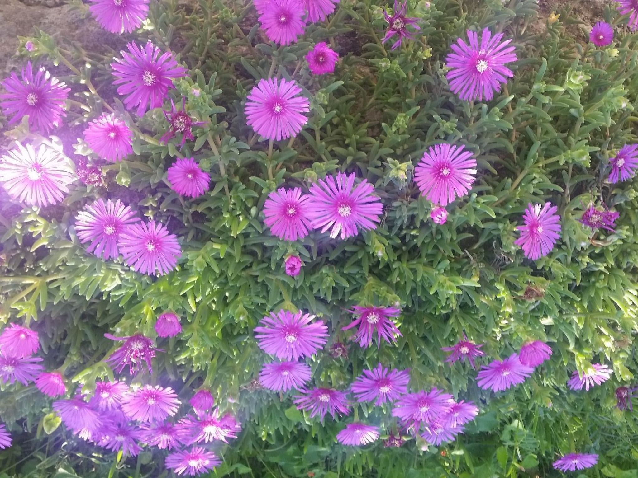 Gemütliche Wohnung Andrea in Opatija