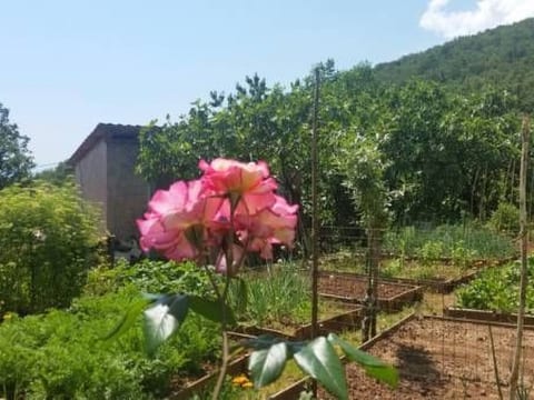 für 5 Personen ca. 90 m² in Opatija-Pobri, Kvarner Bucht (Gespanschaft Pri