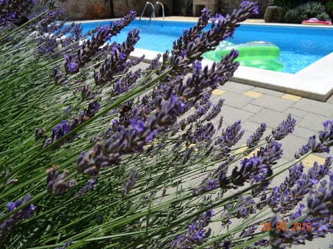mit Privatpool für 6 Personen ca. 107 m&sup2; in Cehici, Istrien (Porec und Umg