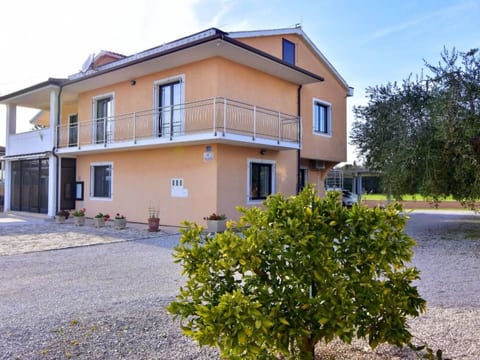 Enea 1