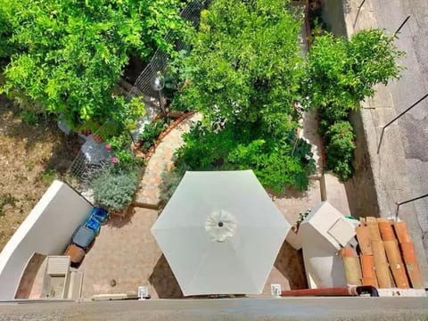 'The Garden