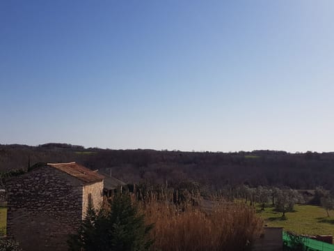 "The Village"