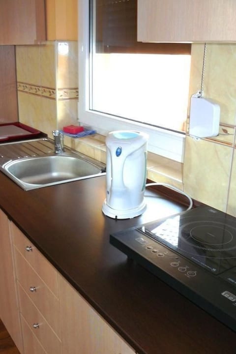 Appartement mit einem Wohn-,Ess- und Schlafraum und kleiner Terrasse für vier P