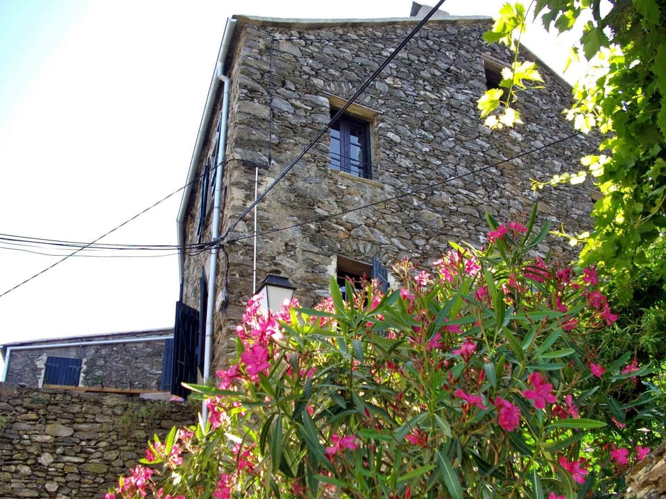 Sole e Ventu 70qm - San-Giovanni-di-Moriani